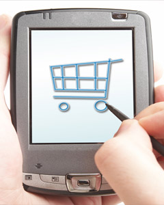 Mastering the Challenge of Finding the Most Suitable E-Shop System