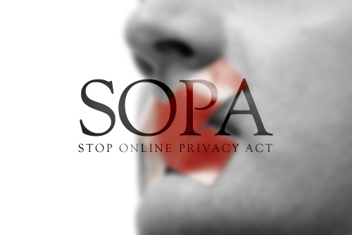 Stop Online Piracy Act Implications for SEO